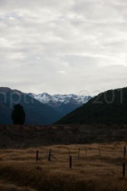NZ-TranzScenic-4158
