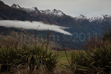 ToWanaka-5075